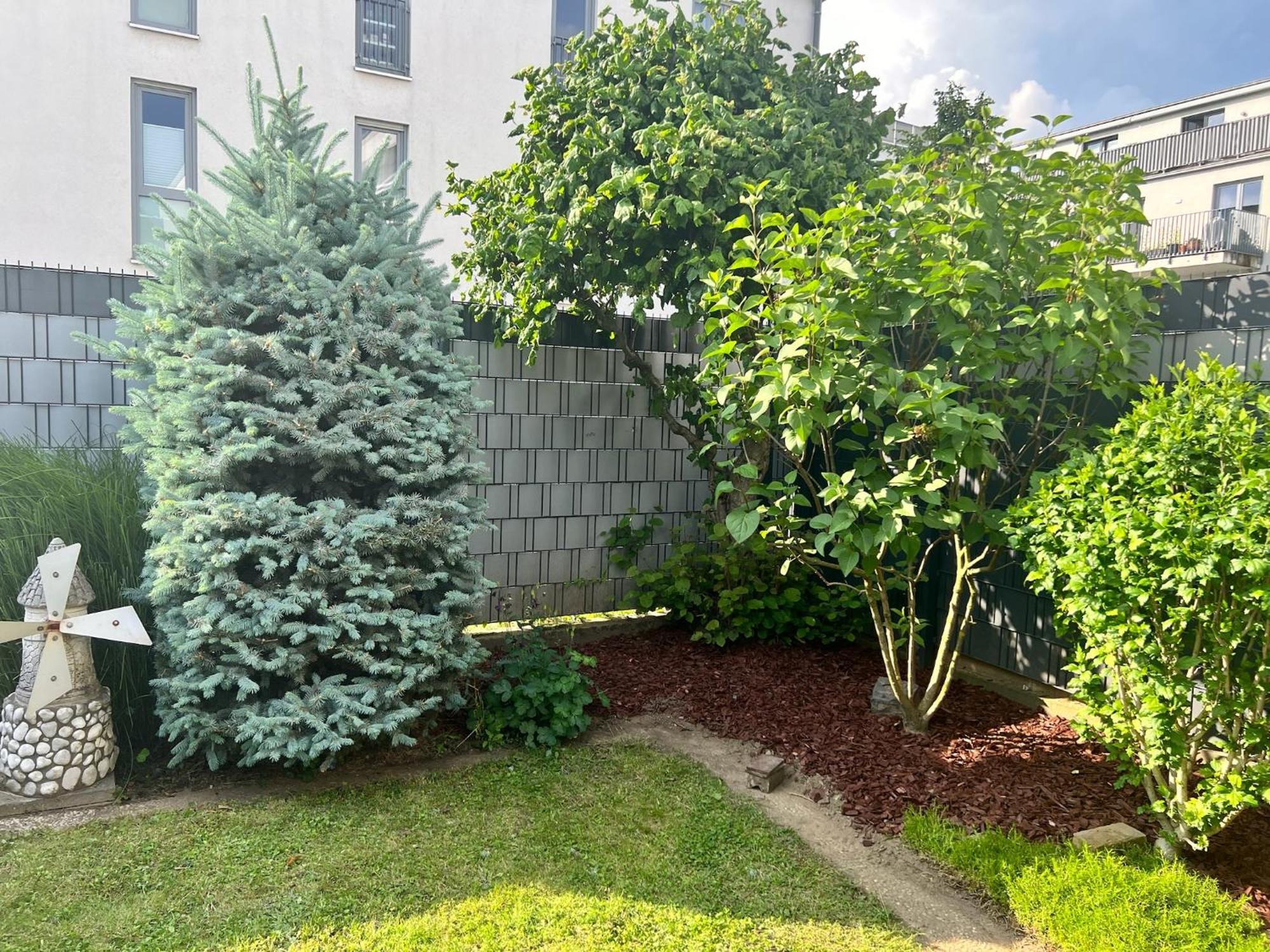 Barrierefreies Ferienhaus Mit Garten Bei Koeln Hürth Dış mekan fotoğraf